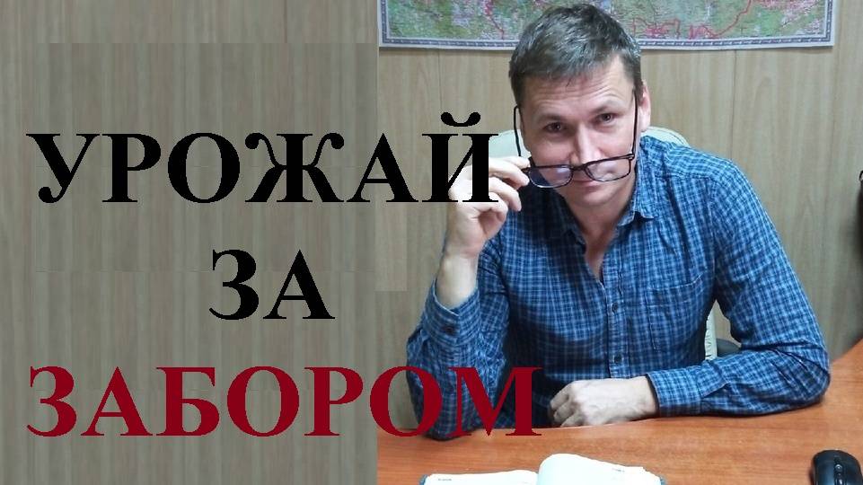 🍒🍏🍐🏕 Можно ли срывать фрукты с деревьев за вашим забором? смотреть онлайн
