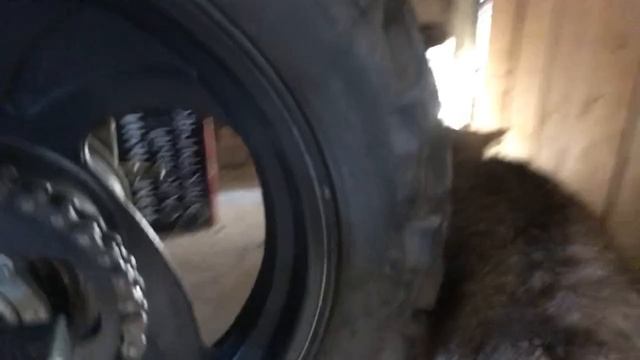 Мопеды сериал | Серия 713