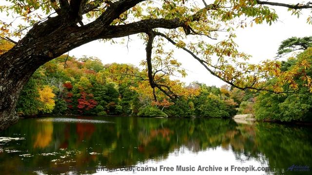 Кто оставил эту мелодию в глуши - Unconscious -- Selfpity -- Unhappy Thoughts