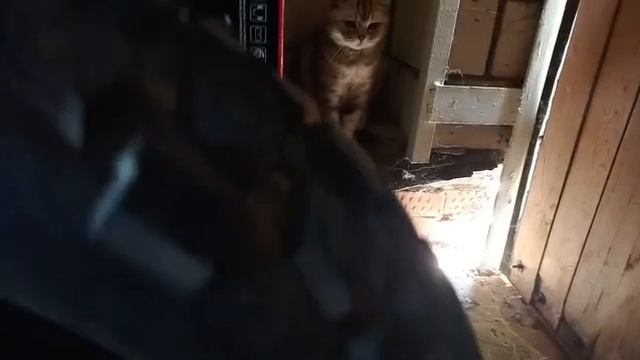 Мопеды сериал | Серия 672