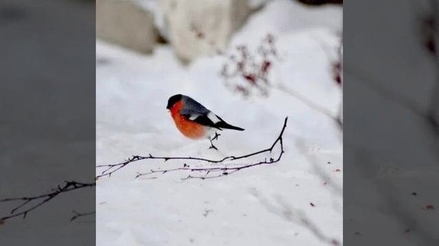 Это интересно-29