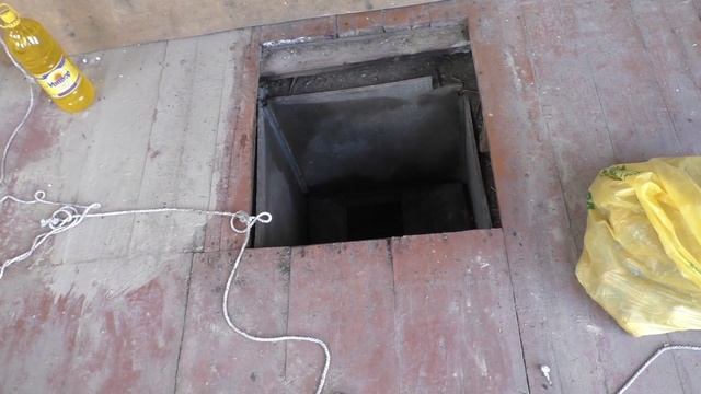 Картофель и лук репка прошлого года