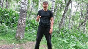 Центральная практика Цигун Позиция дерево столб практический урок