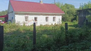 ПУТЕШЕСТВИЕ В ДЕРЕВНЮ АЖ ЗА РЯЗАНЬ / Я ТАМ НЕ БЫЛА 30 ЛЕТ / ПОЕХАЛИ С НАМИ