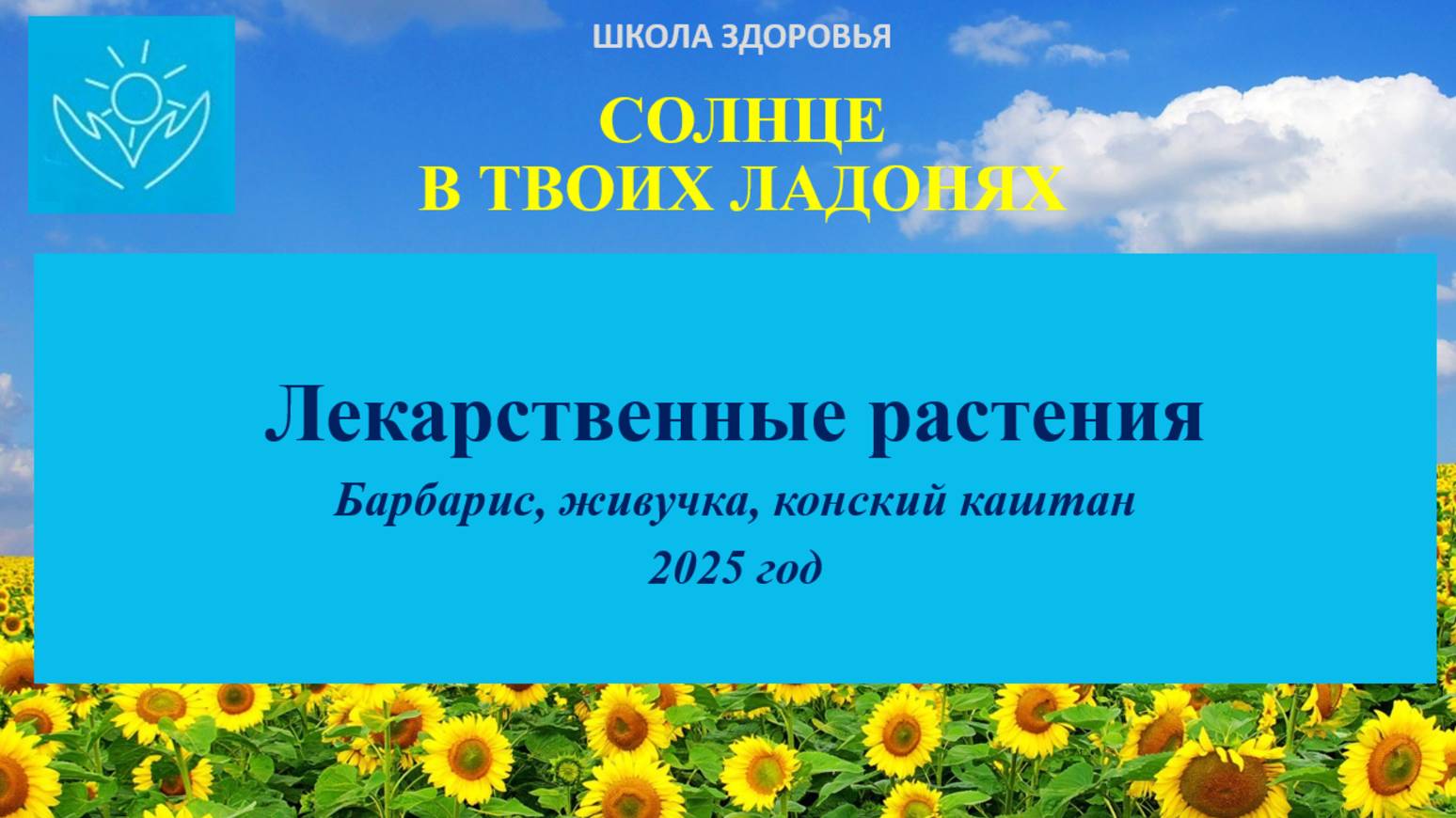 Лекарственные растения 2025 барбарис живучка конский каштан