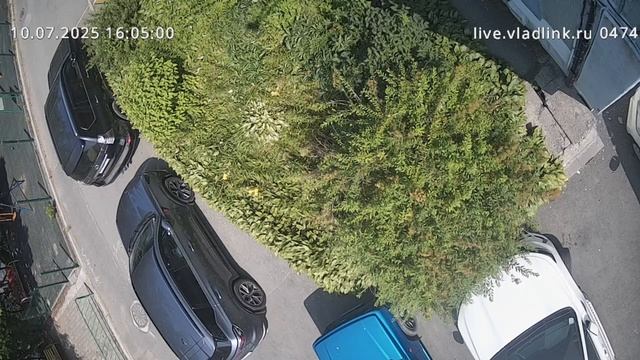 video-15898-0710-1600-30000 смотреть онлайн