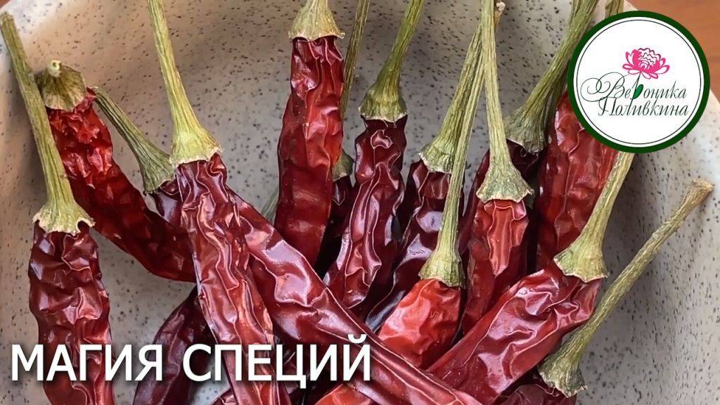 МАГИЯ СПЕЦИЙ смотреть онлайн