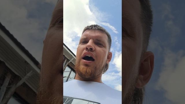 кафе Берлога Красноярск - Новосибирск