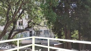 Саня и Шурик 7 серия 1 сезона