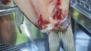 Балыки Рыбы в сушильном шкафу это очень быстро!