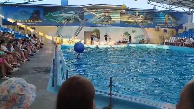 Уникальное шоу в дельфинарии станицы Голубицкой смотреть онлайн