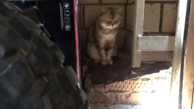 Мопеды сериал | Серия 707