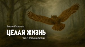 «Целая жизнь». Борис Пильняк. Аудиокнига Читает Владимир Антоник