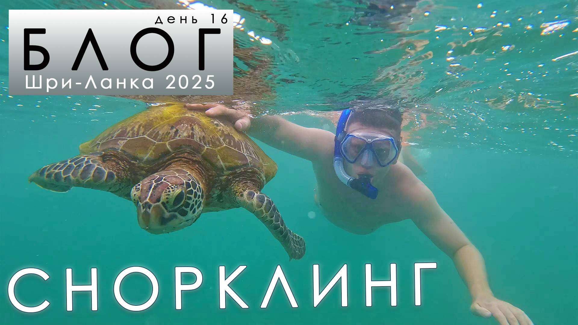 #16 ЛУЧШИЙ снорклинг за всю поездку! смотреть онлайн