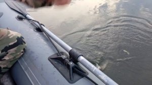 Ещё один не удачный день на рыбалке.