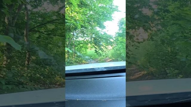 Проня Городище смотреть онлайн