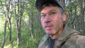 Проезжал мимо И РЕШИЛ ЗАГЛЯНУТЬ! Ищу грибы в саду!