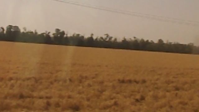 DSCN8172Лотосовый рай бассейн санатория ЛАГА июль 2025