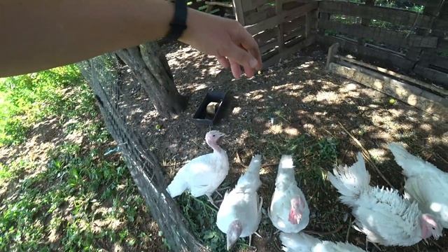 Что у нас нового