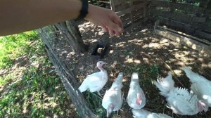 Что у нас нового