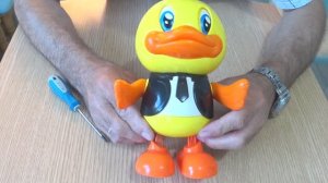 танцующий утенок