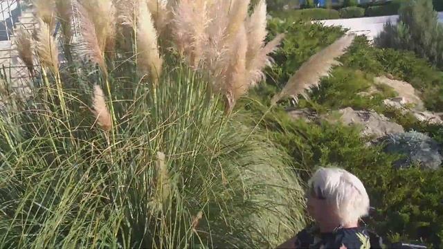 27 сентября 2024 г. смотреть онлайн