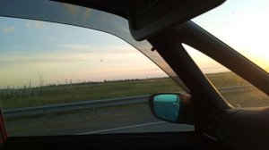 омская обл.: затопило лес