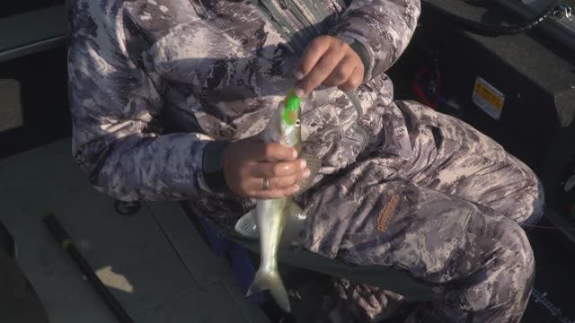 "МИР РЫБОЛОВА" смотреть онлайн