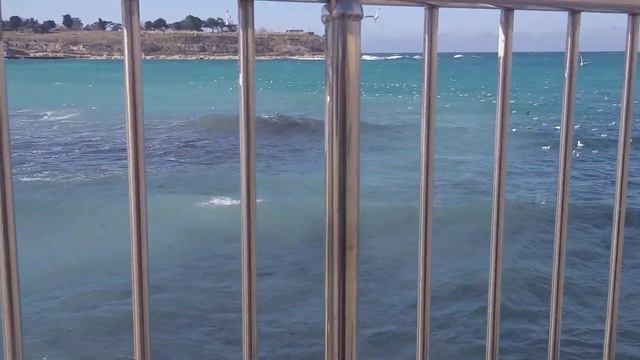 10 февраля 2025 г. смотреть онлайн