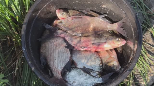 "ВСЕГДА С УЛОВОМ" смотреть онлайн