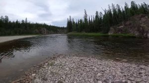 Мы вновь на рыбалке. Небольшой поход на любимую реку за трофейным хариусом. Часть 3.