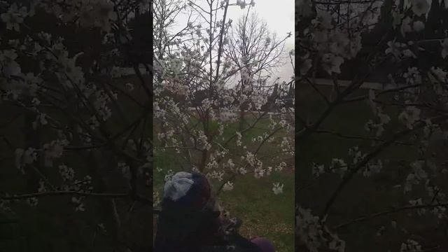 28 марта 2024 г. смотреть онлайн