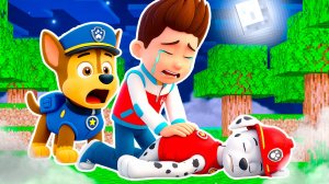 ЧТО СЛУЧИЛОСЬ С МАРШАЛОМ ЩЕНЯЧИЙ ПАТРУЛЬ в МАЙНКРАФТ