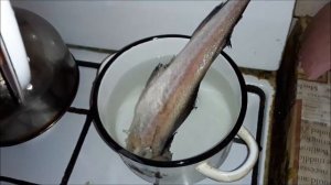 Как варить минтай в кастрюле