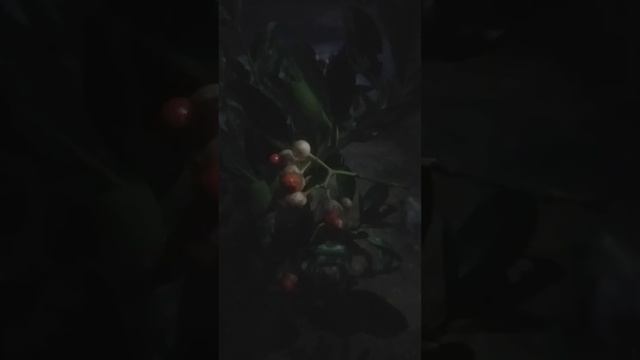 2 января 2024 г. смотреть онлайн