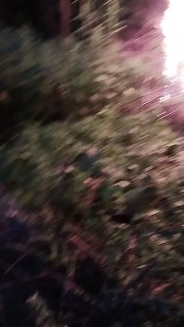 Я ем марку, ты говоришь поло