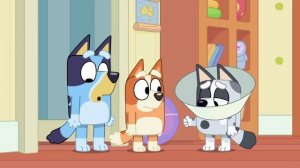 Сериал Блуи - 2 сезон 41 серия / Bluey