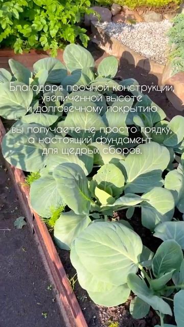 Красиво, функционально и урожайно - это девиз «Красивой грядки»! смотреть онлайн