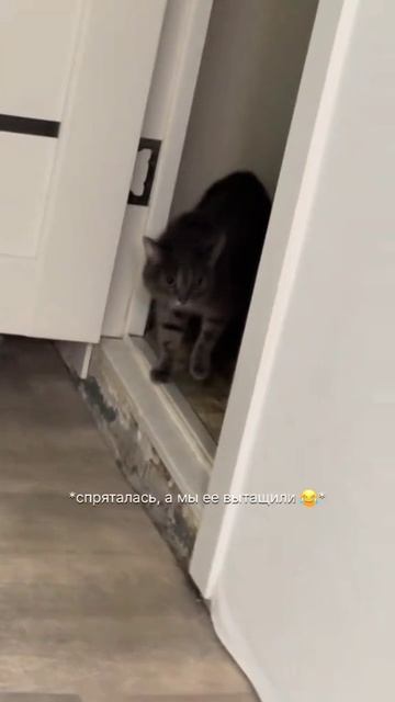 Оформи подписку, родной смотреть онлайн