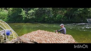 рыбалка на р.Анюй в июле 25