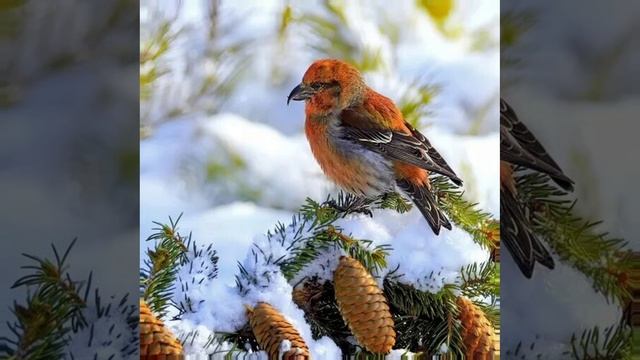 Это интересно-30