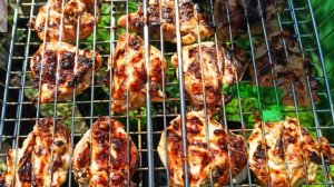 Самый вкусный шашлык из курицы + рецепт маринада для шашлыка из курицы без уксуса