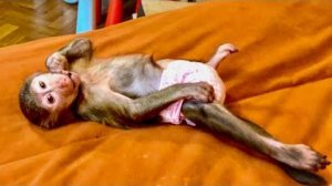 Анфиса это просто ХОДЯЧАЯ БАТАРЕЙКА, только возле мамы и Дениса она немного становится ПОСЛУШНЕЕ!