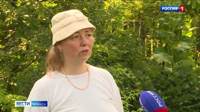 ГТРК Брянск. В области уменьшается число дачных краж смотреть онлайн