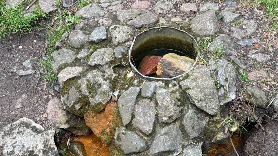 Родник. Калининград, парк Калинина