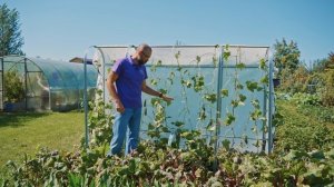 Агроном - Чудошпалера