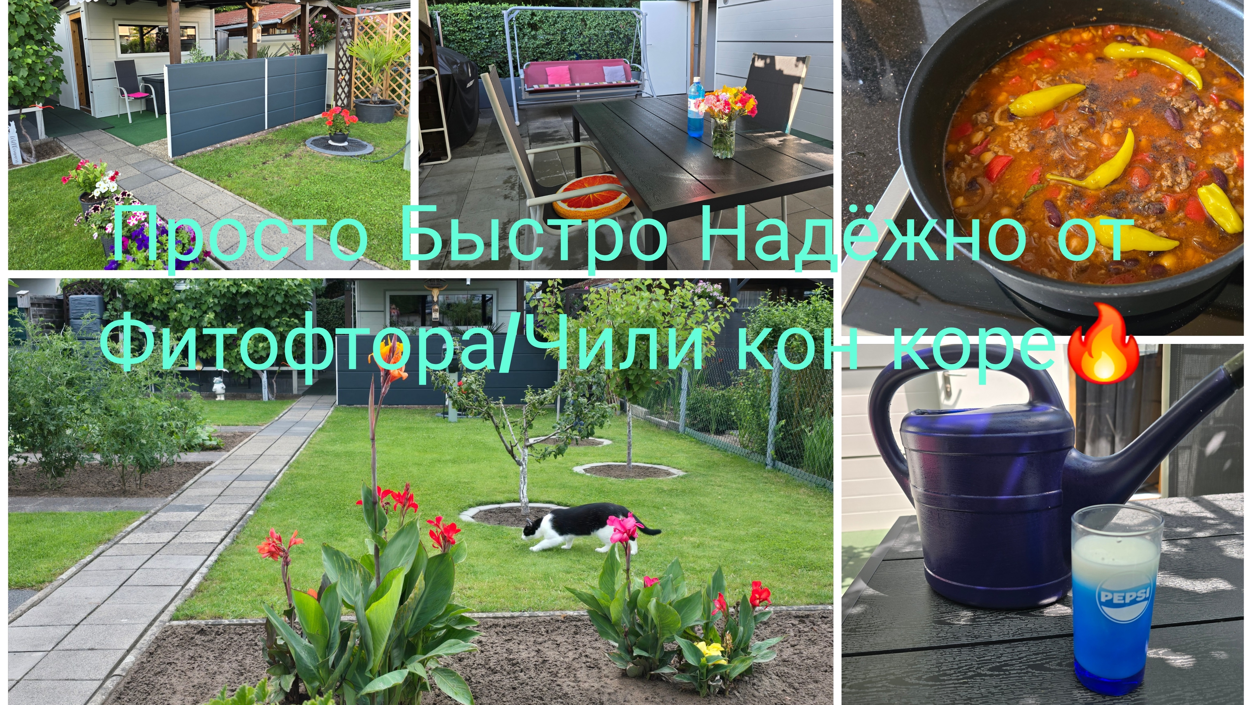 Leben in Deutschland 🇩🇪Наша Дача в Германии 🏕/Самый хороший и проверенный Спасибо от Фитофтора смотреть онлайн