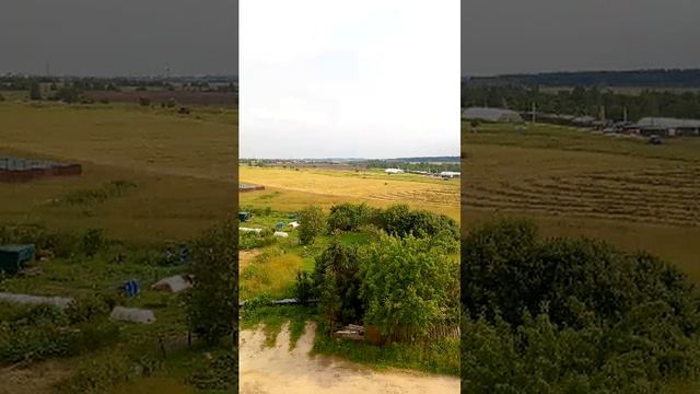 Покос Сена смотреть онлайн