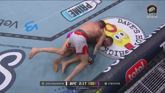Мераб Двалишвили победил Шона О’Мэлли (видео). UFC 316 смотреть онлайн