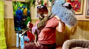 Мама взяла на руки Финика и Анфиса стала ВЫТВОРЯТЬ ТАКОЕ, мама ТОЛЬКО ЕЕ!